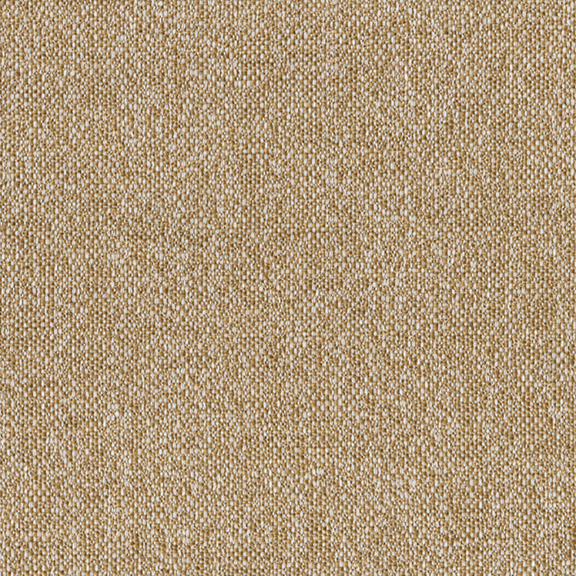 Acorn