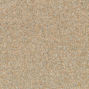 Gold Panning 8390-03