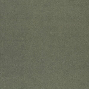 Halcyon Hosta 7550-07