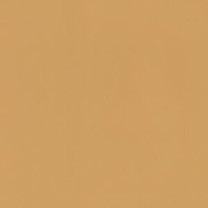 Camel 4242-03