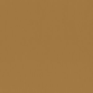 Tiger Eye 4242-04
