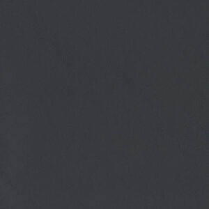 Blackcurrant 4242-08