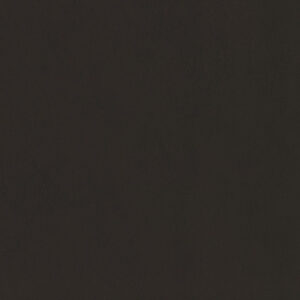 Black Lacquer 4242-11
