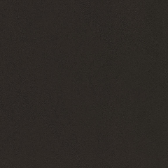 Black Lacquer