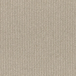 Gray Vireo 3201-02