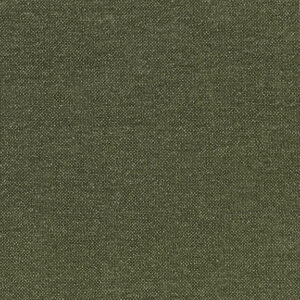 Fraser Fir 8712-05