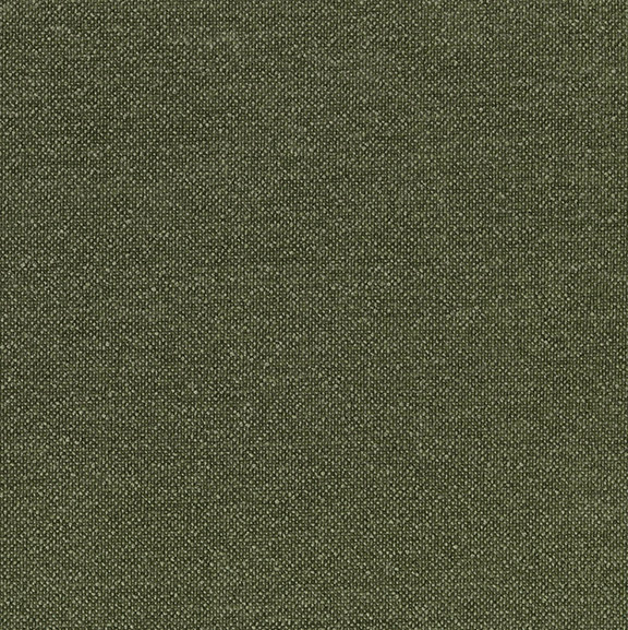 Fraser Fir