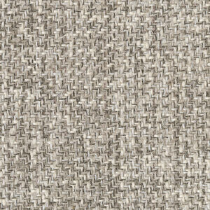 Egyptian Mau 4365-02