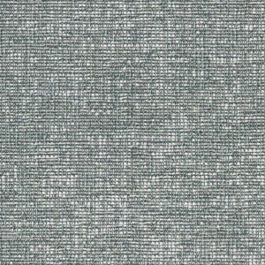 Blue Racer 1240-05