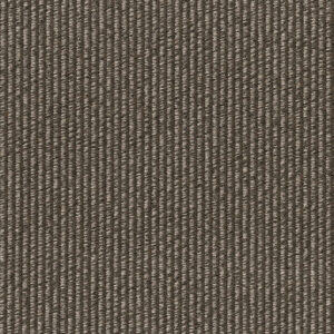 Mackerel Tabby 3201-09
