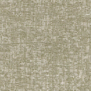 Lime and Coconut 1240-06
