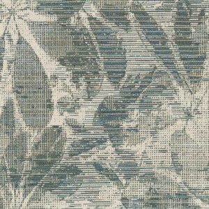 Spix Macaw 5819-08