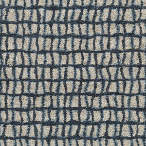 Splendid Fairywren 8392-08