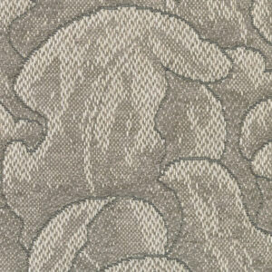 Northern Mockingbird 4355-04