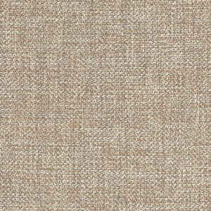 Sandhill Crane 8356-02