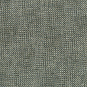 Festuca Blue 8356-08