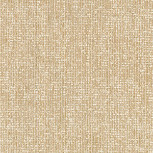 Kermode Bear 8355-02