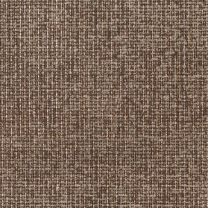 Medjool Date 8355-12