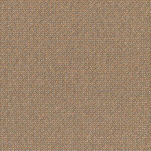 Dried Tangerine 3202-04