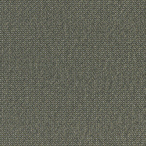 Balsam Fir 3202-06