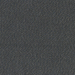 Asteroid Belt 3202-07