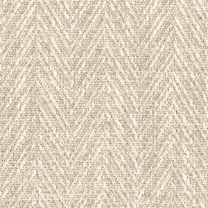 Prairie Lizard 9665-01