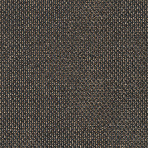 Tortie Cat 8935-05