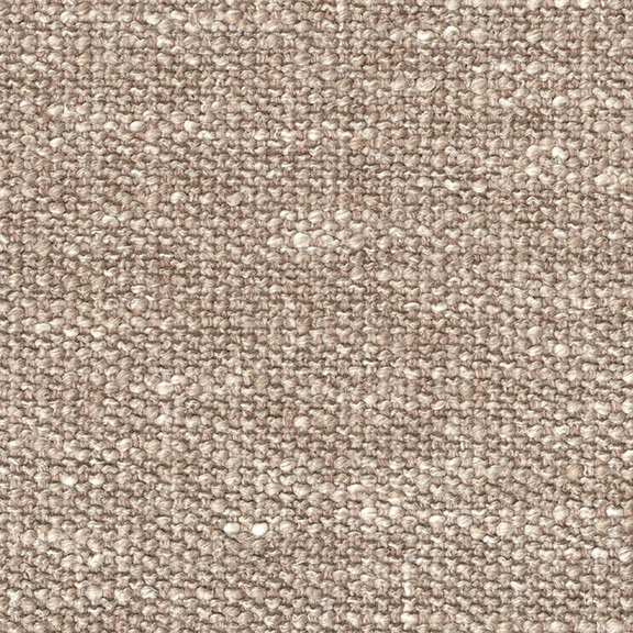 Coral Motley